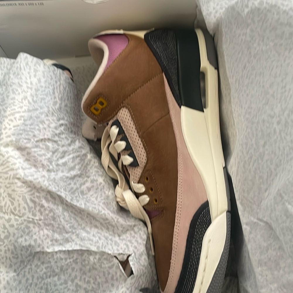 Air jordan 3 retro se